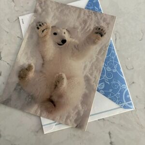 Polar Bear in Snow Greeting Card with Envelope EDF Environmental Defense Fund